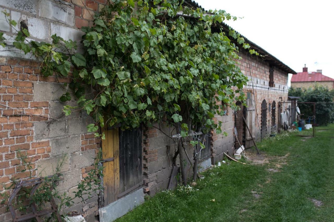Agroturystyka Karpinscy Wizna Luaran gambar